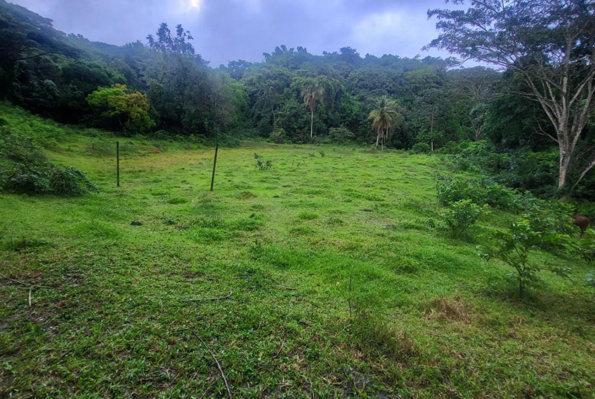 Fourth image of Crawle 11 in Crawle Halt, St. Catherine, Jamaica - property is For Sale