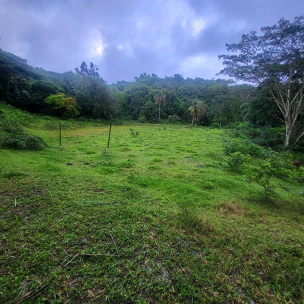 Fourth image of Crawle 11 in Crawle Halt, St. Catherine, Jamaica - property is For Sale