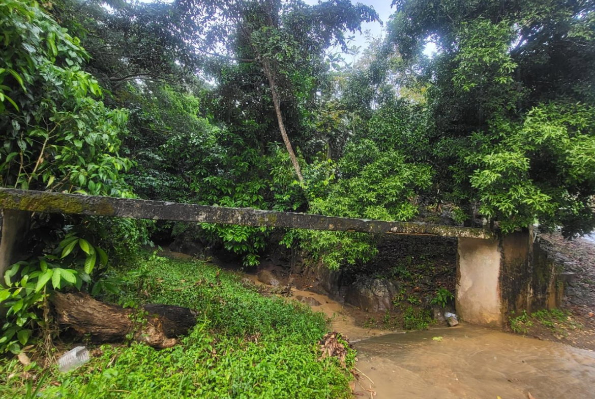 Eighth image of Crawle 11 in Crawle Halt, St. Catherine, Jamaica - property is For Sale