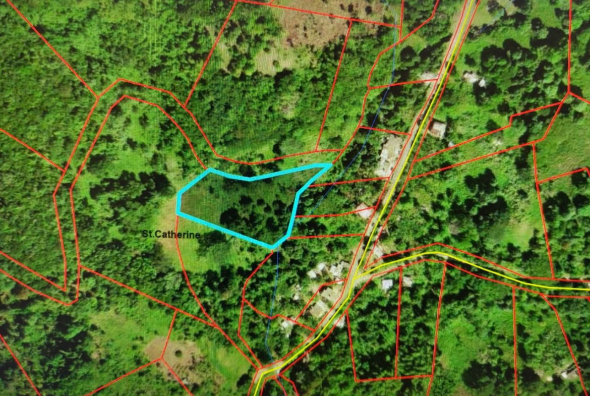 Ninth image of Crawle 11 in Crawle Halt, St. Catherine, Jamaica - property is For Sale