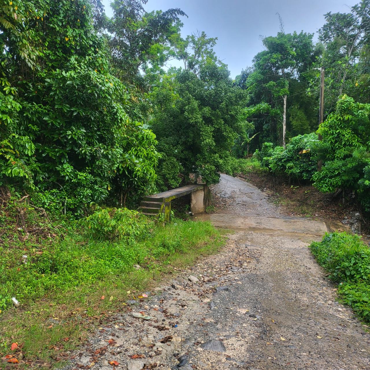 First image of Crawle 11 in Crawle Halt, St. Catherine, Jamaica - property is For Sale