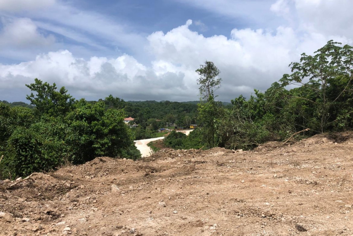 Second image of Lot 95 Part of Knapdale in Browns Town, St. Ann, Jamaica - property is For Sale