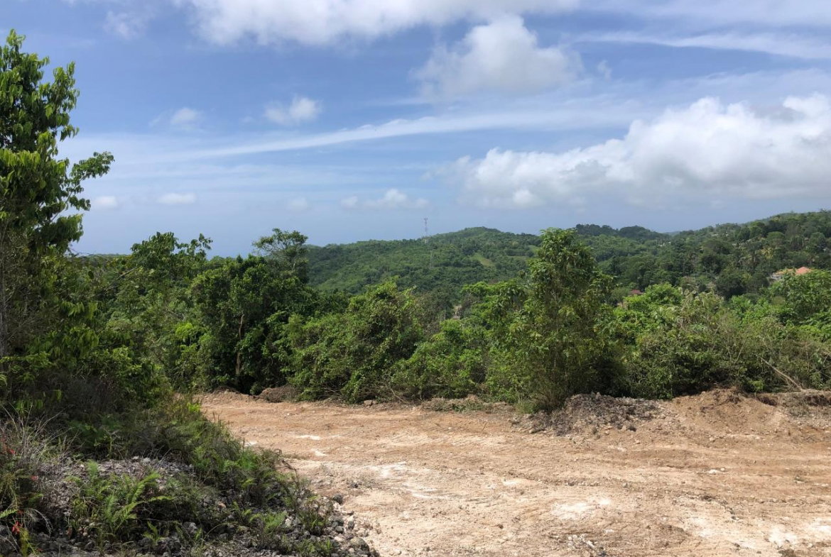 Third image of Lot 49 Part of Knapdale in Browns Town, St. Ann, Jamaica - property is For Sale