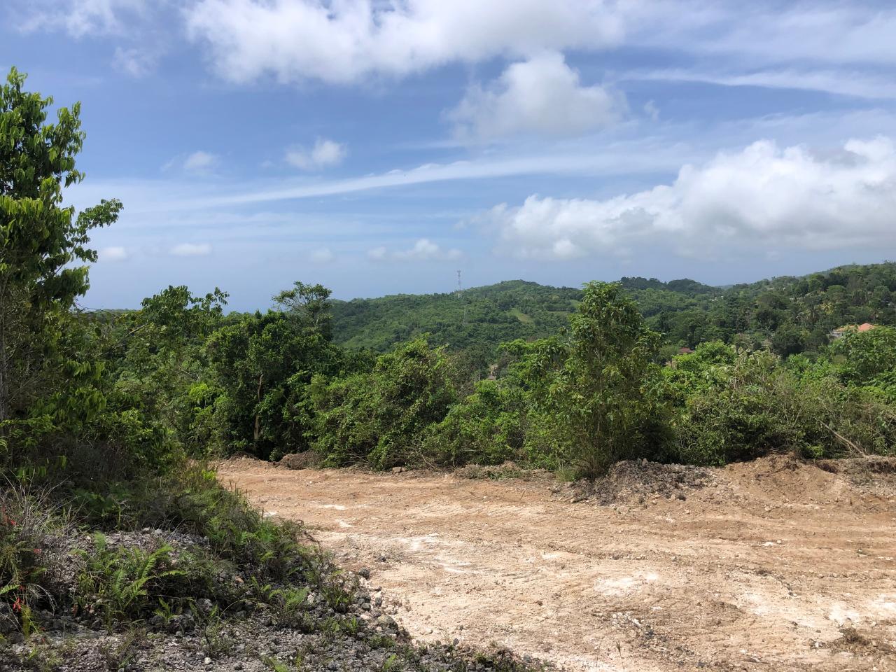 Third image of Lot 93 Part of Knapdale in Browns Town, St. Ann, Jamaica - property is For Sale