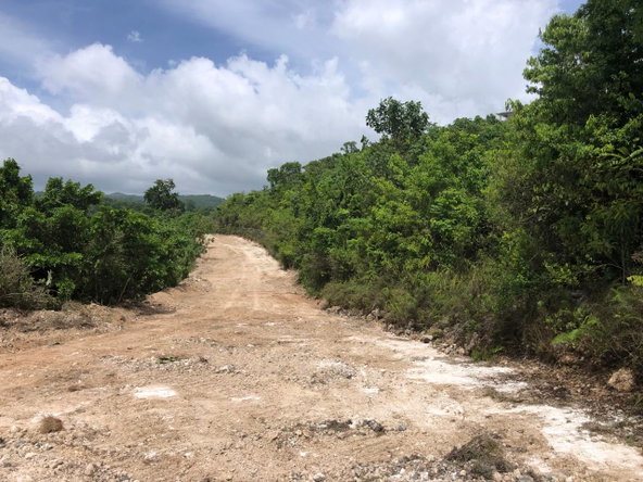 Fourth image of Lot 93 Part of Knapdale in Browns Town, St. Ann, Jamaica - property is For Sale