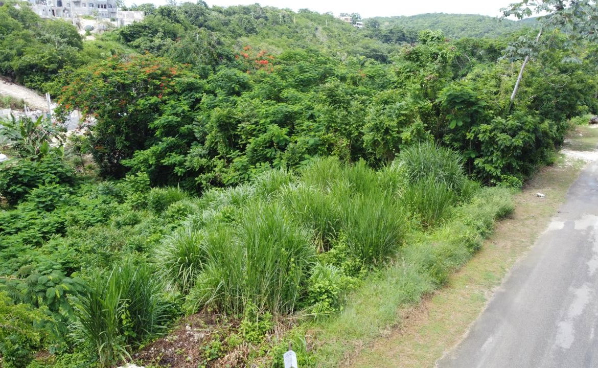 Fourth image of Orchard Gardens, Hopewell in Hopewell, Hanover, Jamaica - property is For Sale