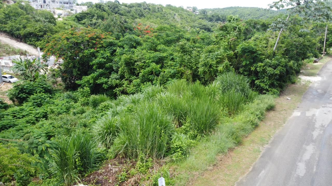 Fourth image of Orchard Gardens, Hopewell in Hopewell, Hanover, Jamaica - property is For Sale