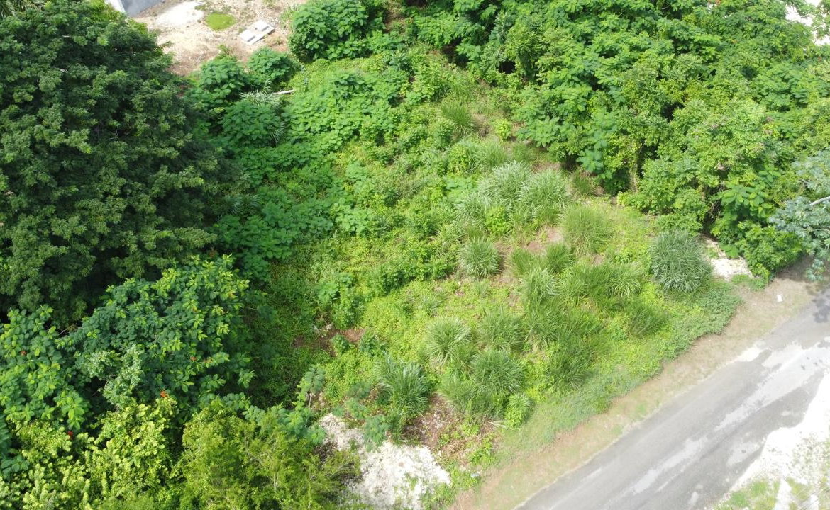 Sixth image of Orchard Gardens, Hopewell in Hopewell, Hanover, Jamaica - property is For Sale