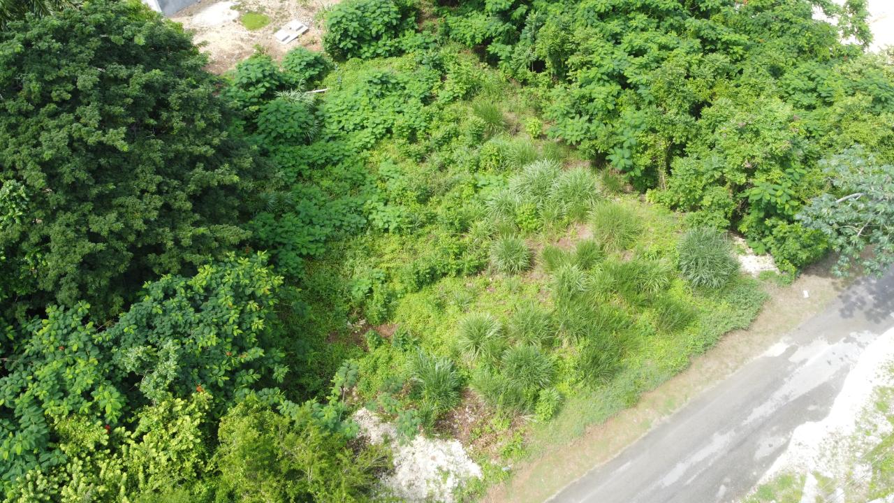 Sixth image of Orchard Gardens, Hopewell in Hopewell, Hanover, Jamaica - property is For Sale