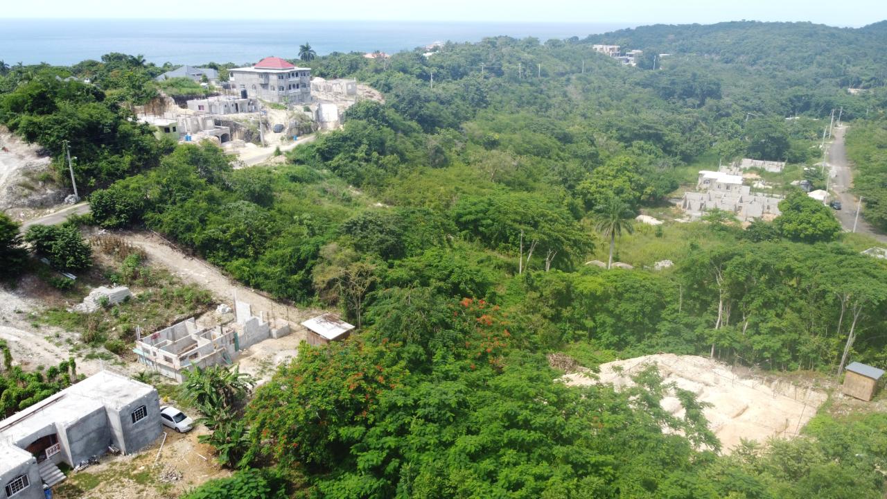 Ninth image of Orchard Gardens, Hopewell in Hopewell, Hanover, Jamaica - property is For Sale