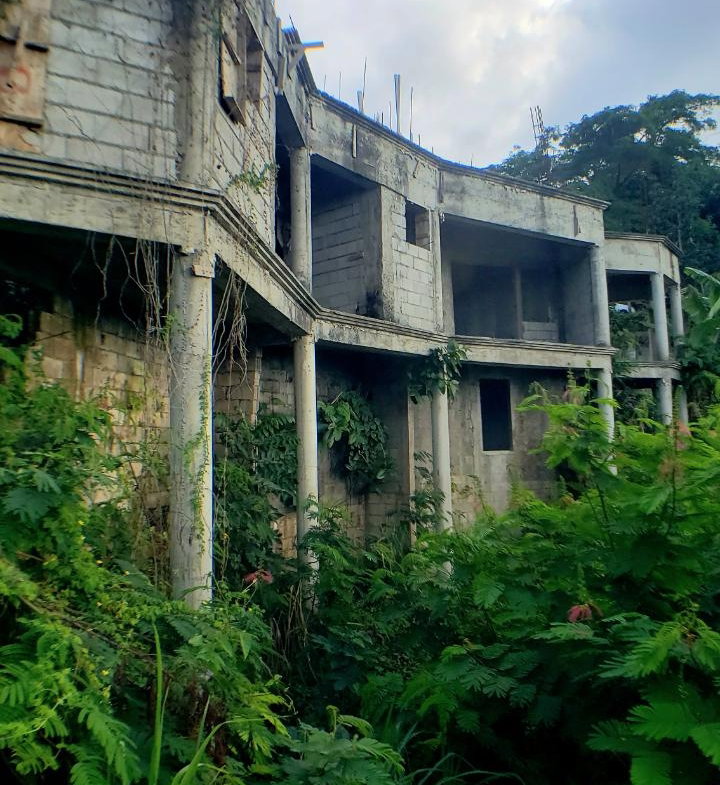 Seventh image of Jack's Hill Road-maryland in Kingston 6, St. Andrew, Jamaica - property is For Sale