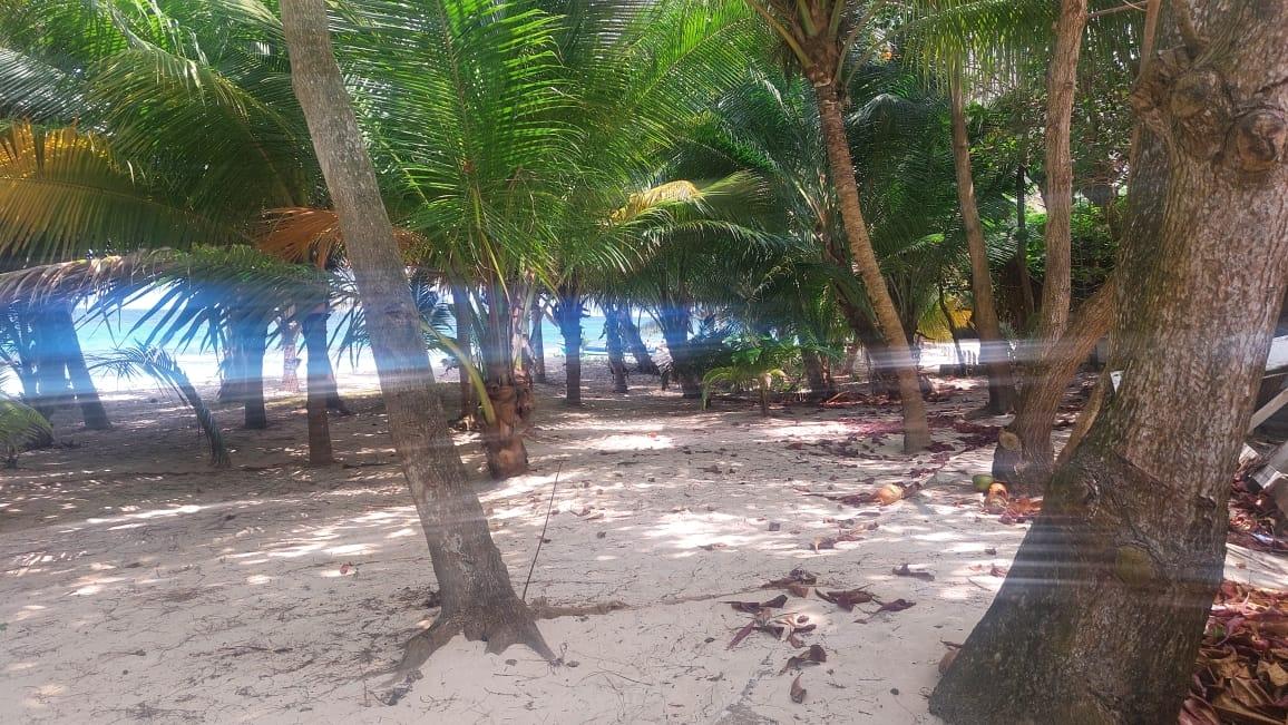 Eleventh image of Mammee Bay in Mammee Bay, St. Ann, Jamaica - property is For Sale