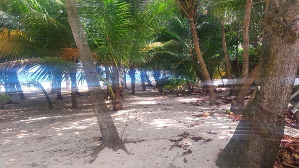 Eleventh image of Mammee Bay in Mammee Bay, St. Ann, Jamaica - property is For Sale