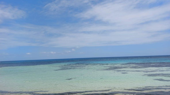 Twelfth image of Mammee Bay in Mammee Bay, St. Ann, Jamaica - property is For Sale