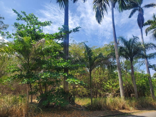 Third image of Mammee Bay in Mammee Bay, St. Ann, Jamaica - property is For Sale