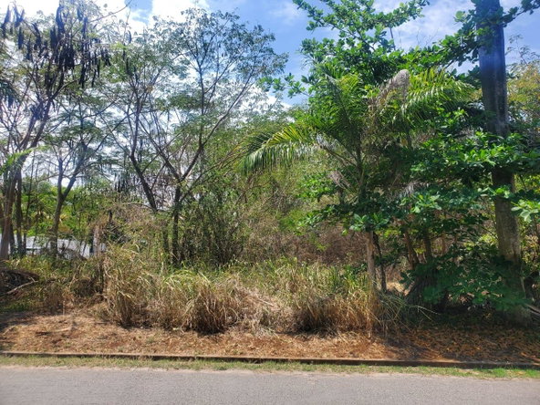 Fifth image of Mammee Bay in Mammee Bay, St. Ann, Jamaica - property is For Sale