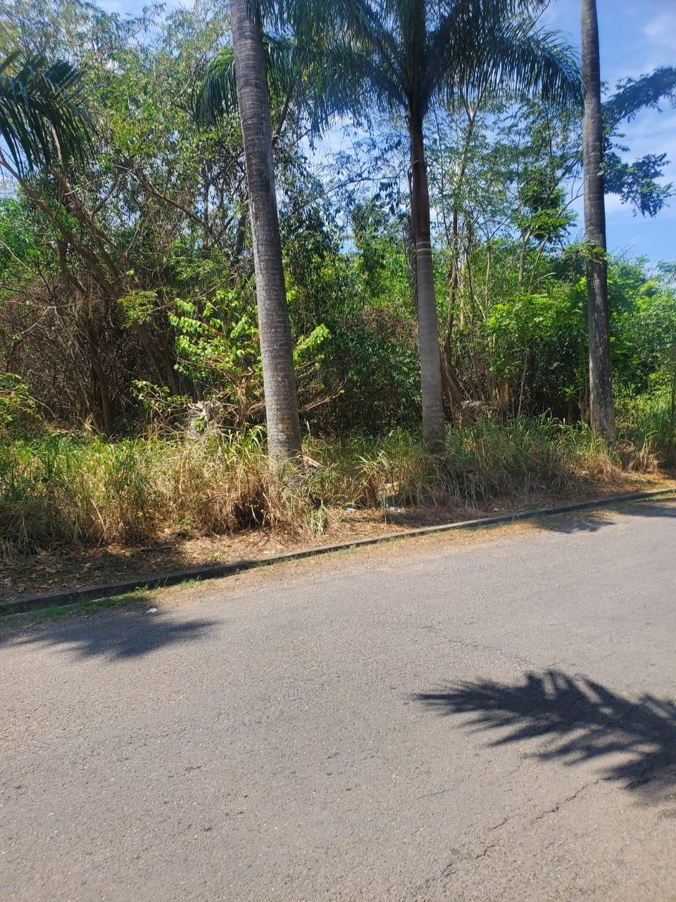 Tenth image of Mammee Bay in Mammee Bay, St. Ann, Jamaica - property is For Sale