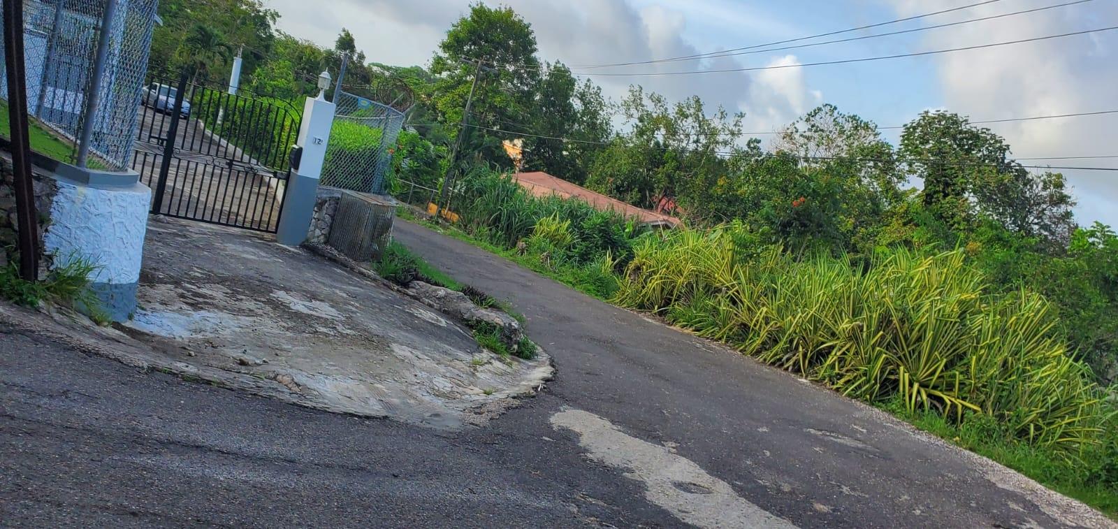 Eleventh image of Waltham 1 Acre Lot in Mandeville, Manchester, Jamaica - property is For Sale