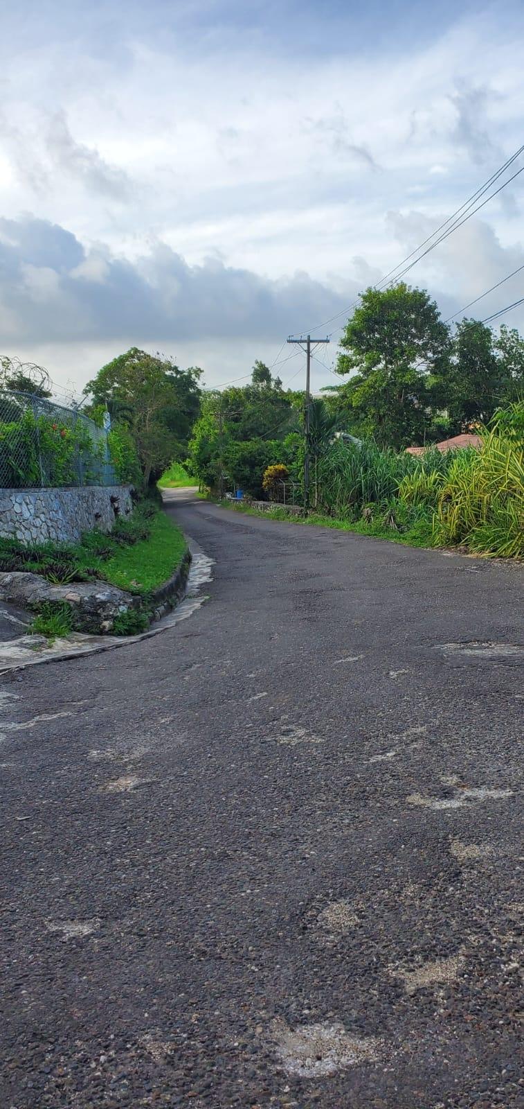 Fourteenth image of Waltham 1 Acre Lot in Mandeville, Manchester, Jamaica - property is For Sale