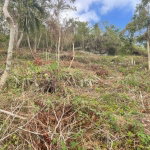 First image of Waltham 1 Acre Lot in Mandeville, Manchester, Jamaica - property is For Sale