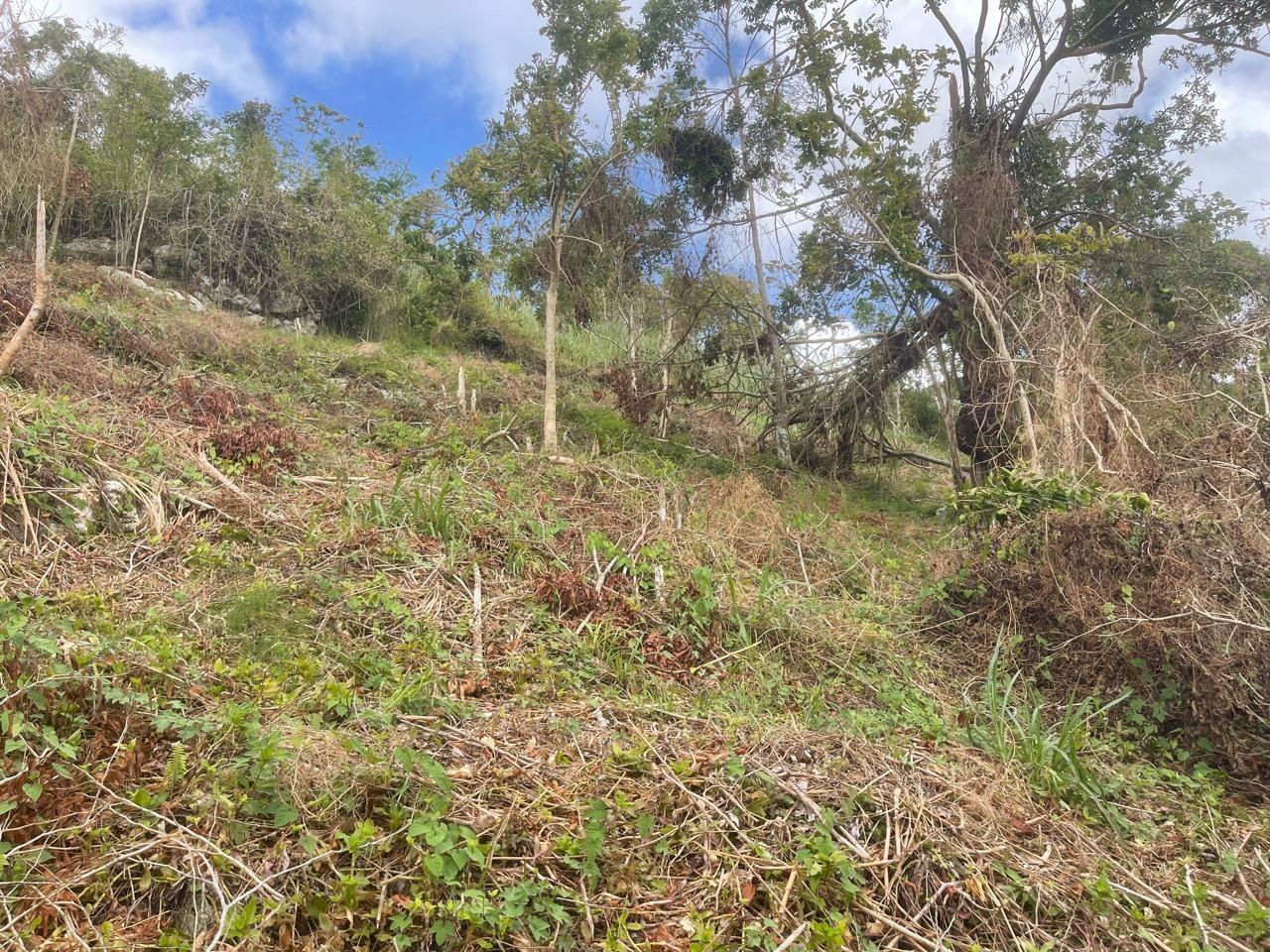 Third image of Waltham 1 Acre Lot in Mandeville, Manchester, Jamaica - property is For Sale