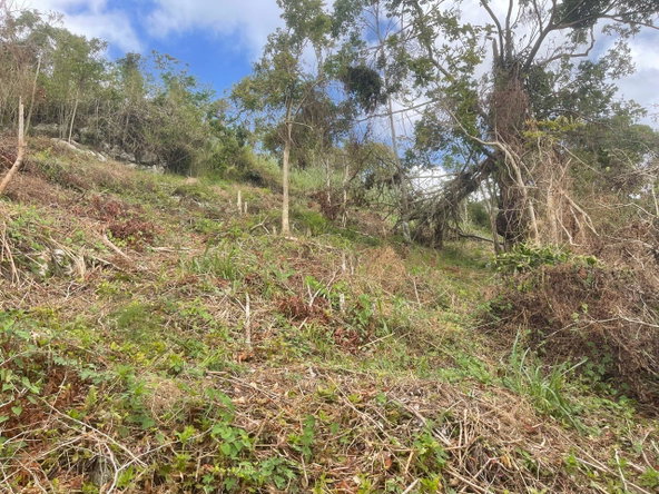 Third image of Waltham 1 Acre Lot in Mandeville, Manchester, Jamaica - property is For Sale