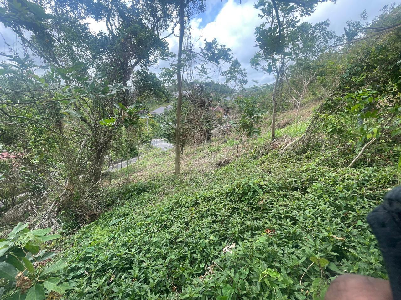 Fourth image of Waltham 1 Acre Lot in Mandeville, Manchester, Jamaica - property is For Sale