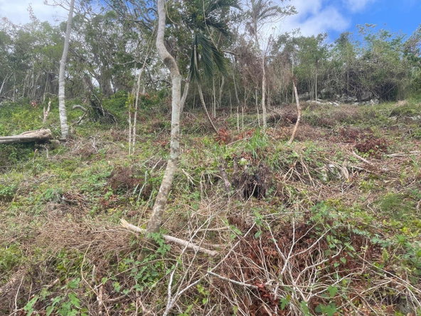 Fifth image of Waltham 1 Acre Lot in Mandeville, Manchester, Jamaica - property is For Sale