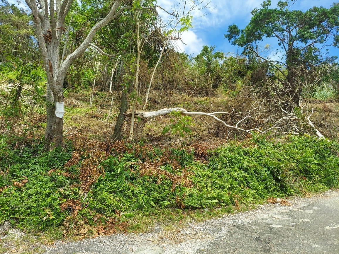 Sixth image of Waltham 1 Acre Lot in Mandeville, Manchester, Jamaica - property is For Sale