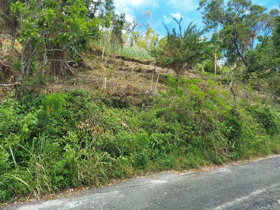 Seventh image of Waltham 1 Acre Lot in Mandeville, Manchester, Jamaica - property is For Sale
