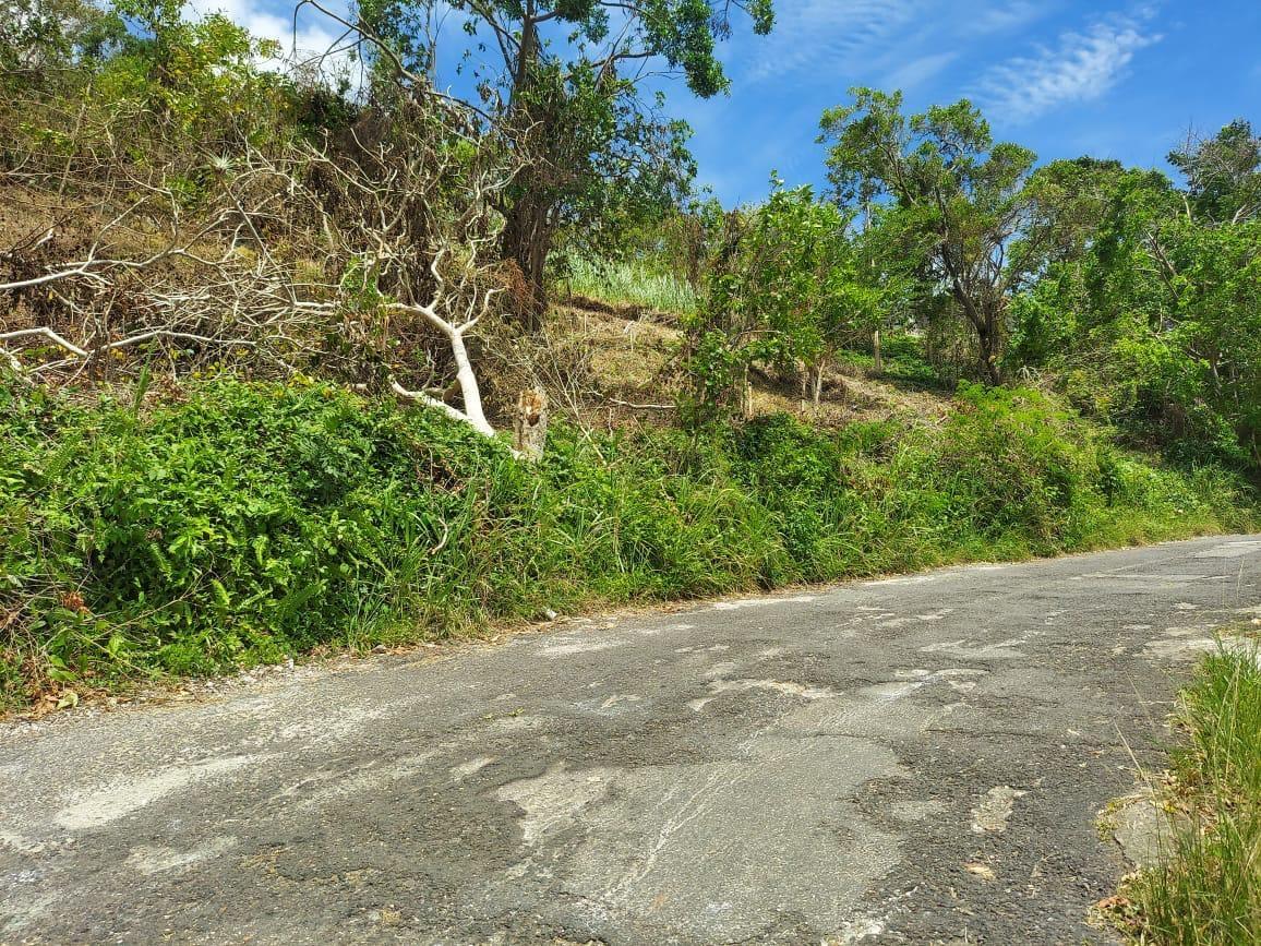 Ninth image of Waltham 1 Acre Lot in Mandeville, Manchester, Jamaica - property is For Sale
