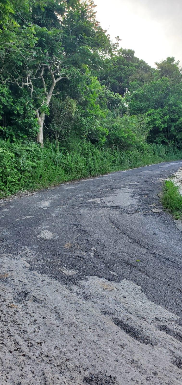 Tenth image of Waltham 1 Acre Lot in Mandeville, Manchester, Jamaica - property is For Sale