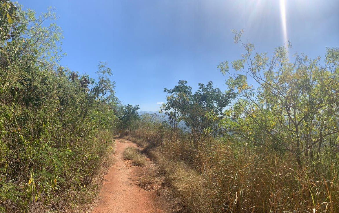 Second image of Pinewood Drive, Kgn 20 in Kingston 20, St. Andrew, Jamaica - property is For Sale