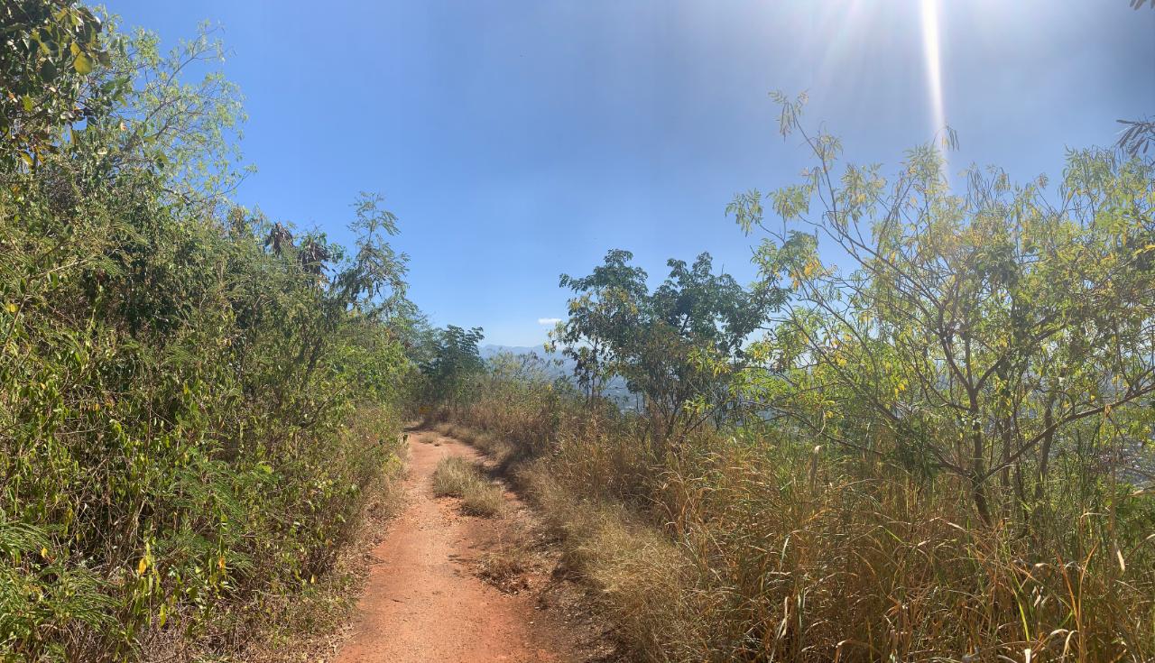 Prime-1.1-Acres-Residential-Development-Land-for-Sale-in-St.-Andrew-Jamaica Second image of Pinewood Drive, Kgn 20 in Kingston 20, St. Andrew, Jamaica - property is For Sale