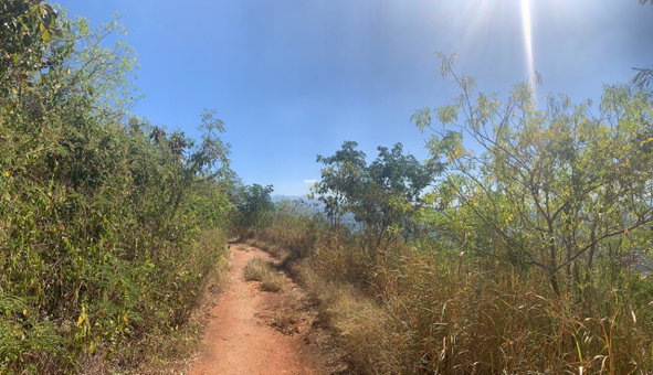 Second image of Pinewood Drive, Kgn 20 in Kingston 20, St. Andrew, Jamaica - property is For Sale
