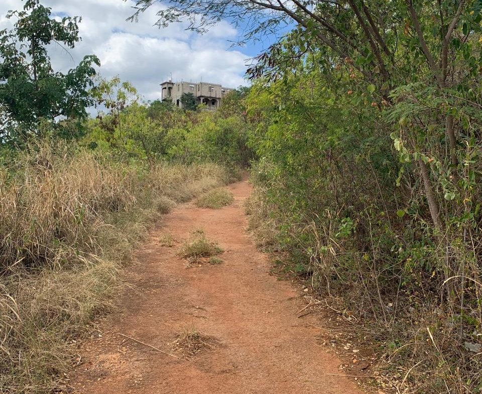 Fourth image of Pinewood Drive, Kgn 20 in Kingston 20, St. Andrew, Jamaica - property is For Sale