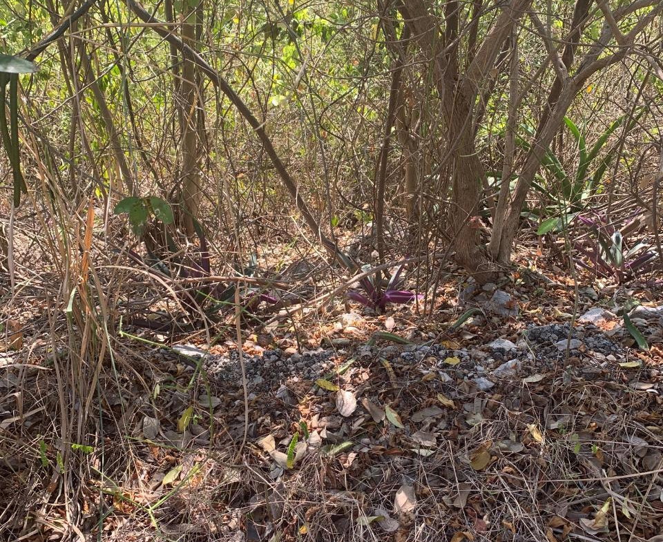 Fifth image of Pinewood Drive, Kgn 20 in Kingston 20, St. Andrew, Jamaica - property is For Sale