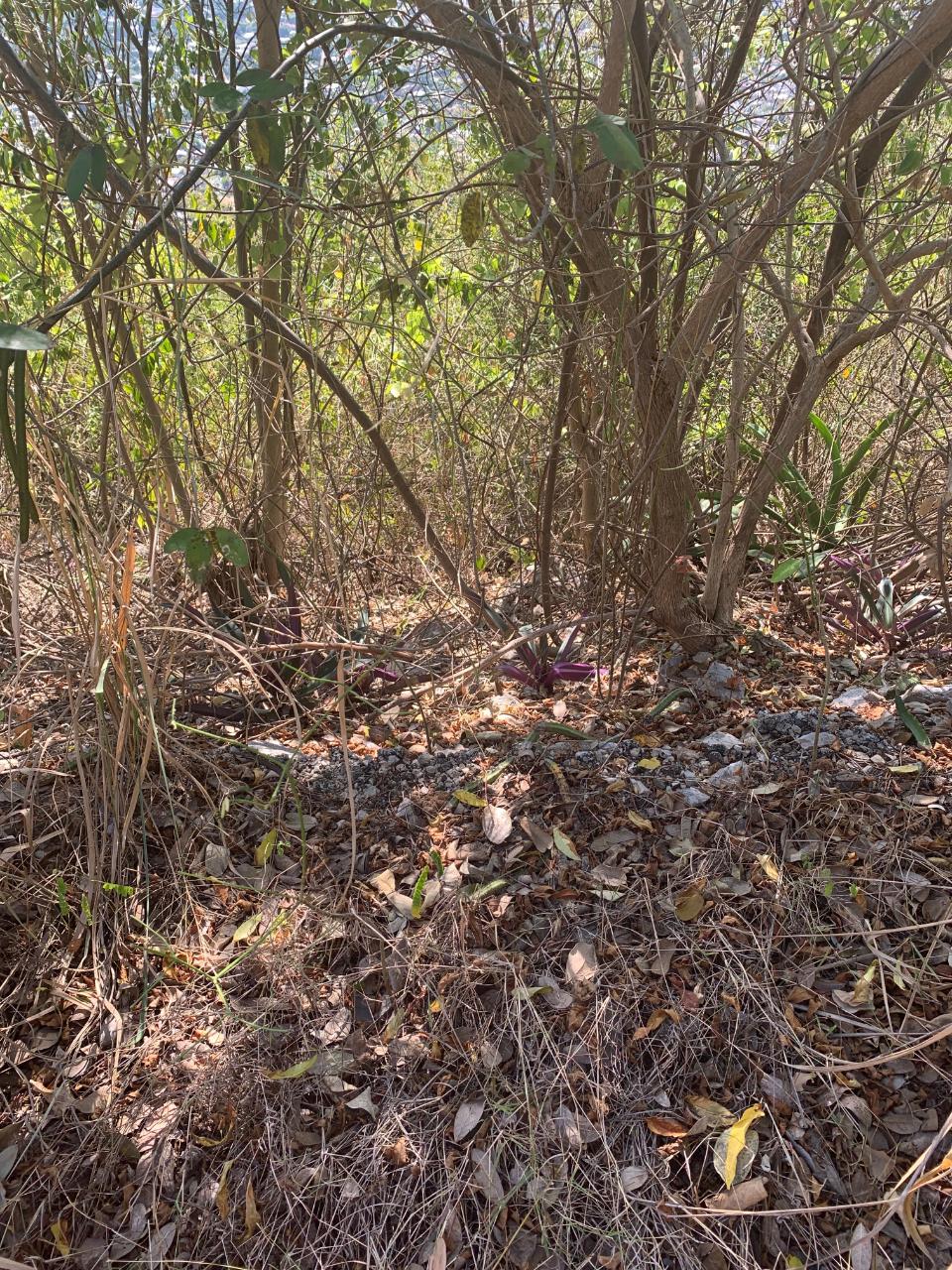 Prime-1.1-Acres-Residential-Development-Land-for-Sale-in-St.-Andrew-Jamaica Fifth image of Pinewood Drive, Kgn 20 in Kingston 20, St. Andrew, Jamaica - property is For Sale