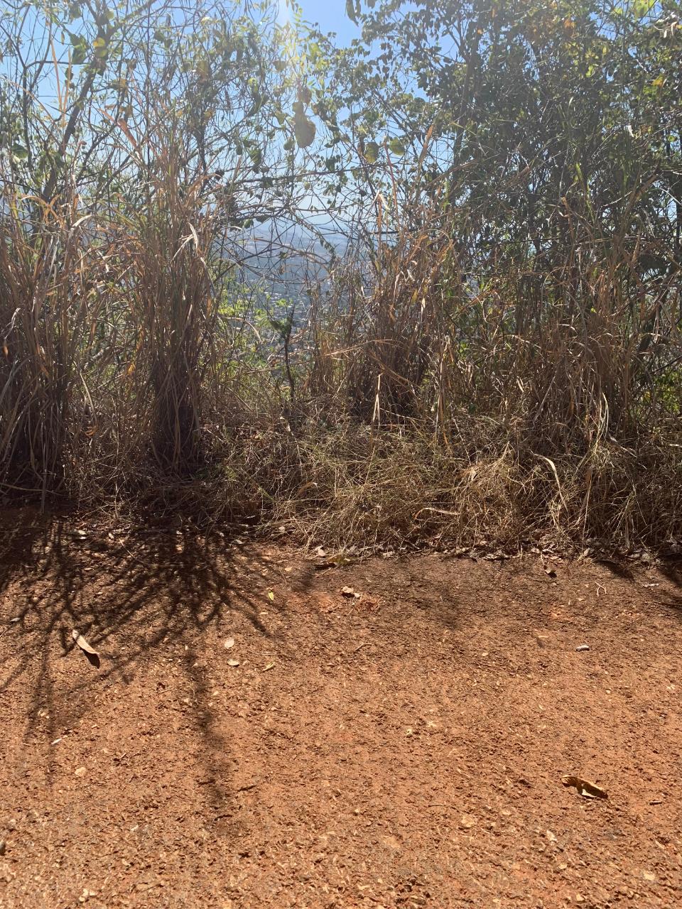 Prime-1.1-Acres-Residential-Development-Land-for-Sale-in-St.-Andrew-Jamaica Seventh image of Pinewood Drive, Kgn 20 in Kingston 20, St. Andrew, Jamaica - property is For Sale