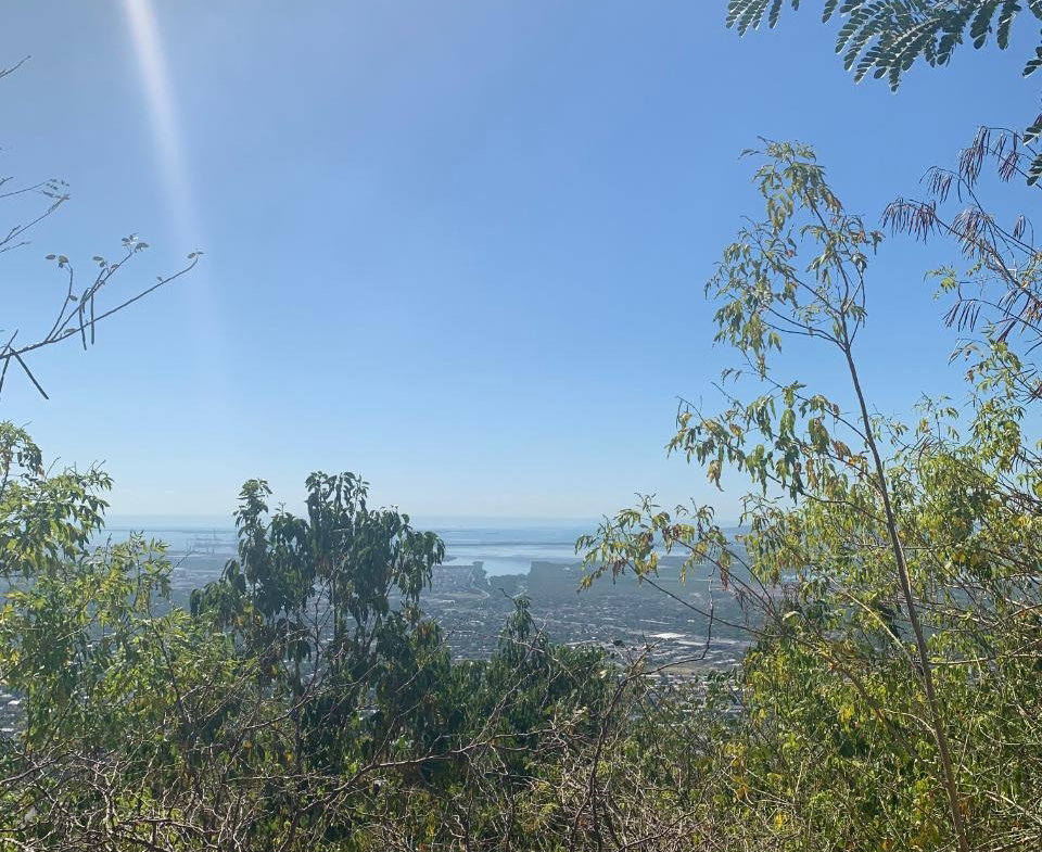 Eighth image of Pinewood Drive, Kgn 20 in Kingston 20, St. Andrew, Jamaica - property is For Sale