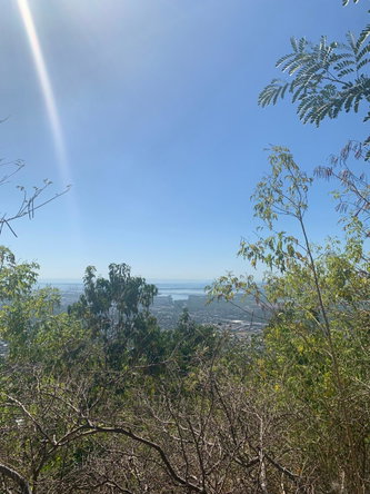 Eighth image of Pinewood Drive, Kgn 20 in Kingston 20, St. Andrew, Jamaica - property is For Sale
