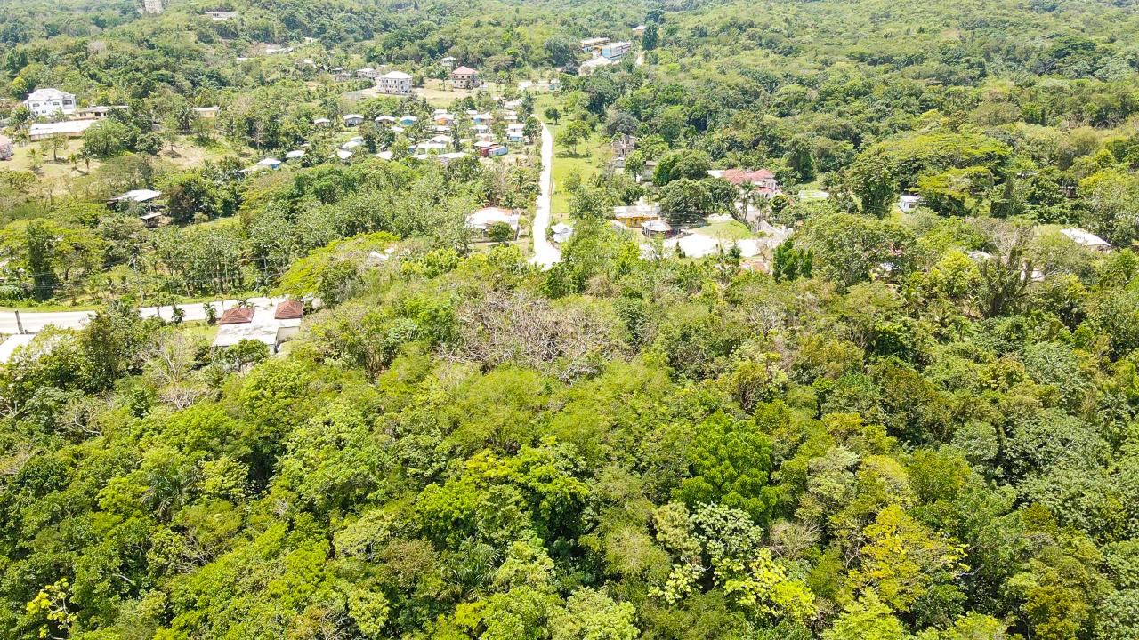 Sixteenth image of Sheffield, Westmoreland in Negril, Westmoreland, Jamaica - property is For Sale