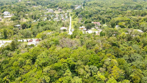 Sixteenth image of Sheffield, Westmoreland in Negril, Westmoreland, Jamaica - property is For Sale