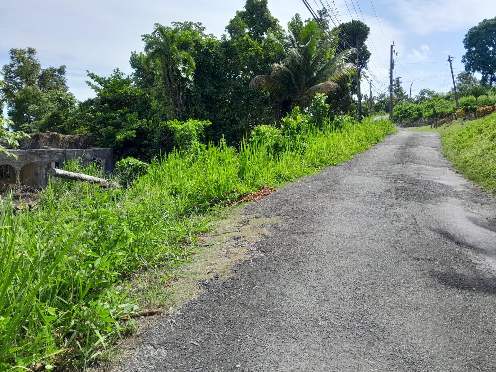 Sixth image of 8 Wydah in St. Margaret's Bay, Portland, Jamaica - property is For Sale