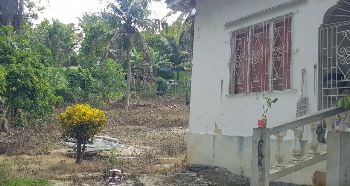 Twelfth image of Springfield Sheffield in Shefeild, Westmoreland, Jamaica - property is For Sale