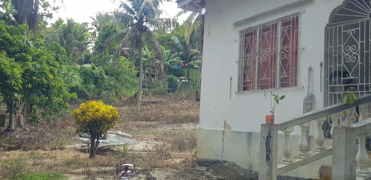 Twelfth image of Springfield Sheffield in Shefeild, Westmoreland, Jamaica - property is For Sale