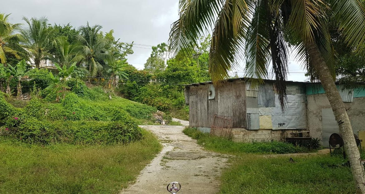Fourteenth image of Springfield Sheffield in Shefeild, Westmoreland, Jamaica - property is For Sale