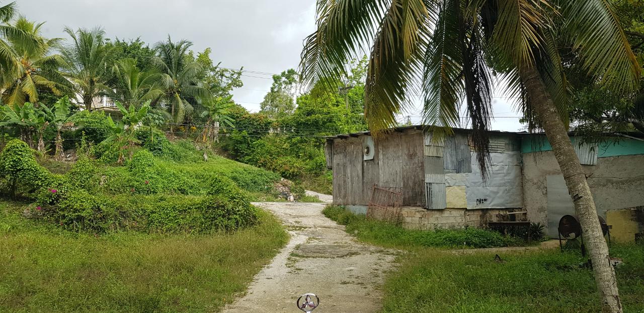 Fourteenth image of Springfield Sheffield in Shefeild, Westmoreland, Jamaica - property is For Sale