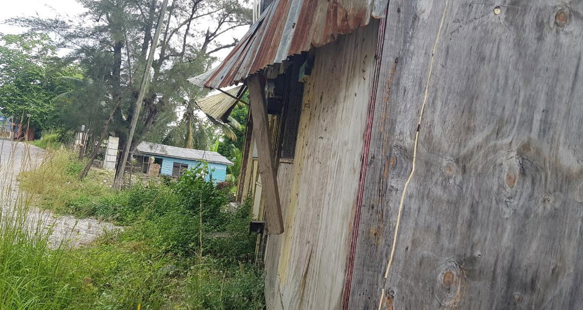 Fifteenth image of Springfield Sheffield in Shefeild, Westmoreland, Jamaica - property is For Sale