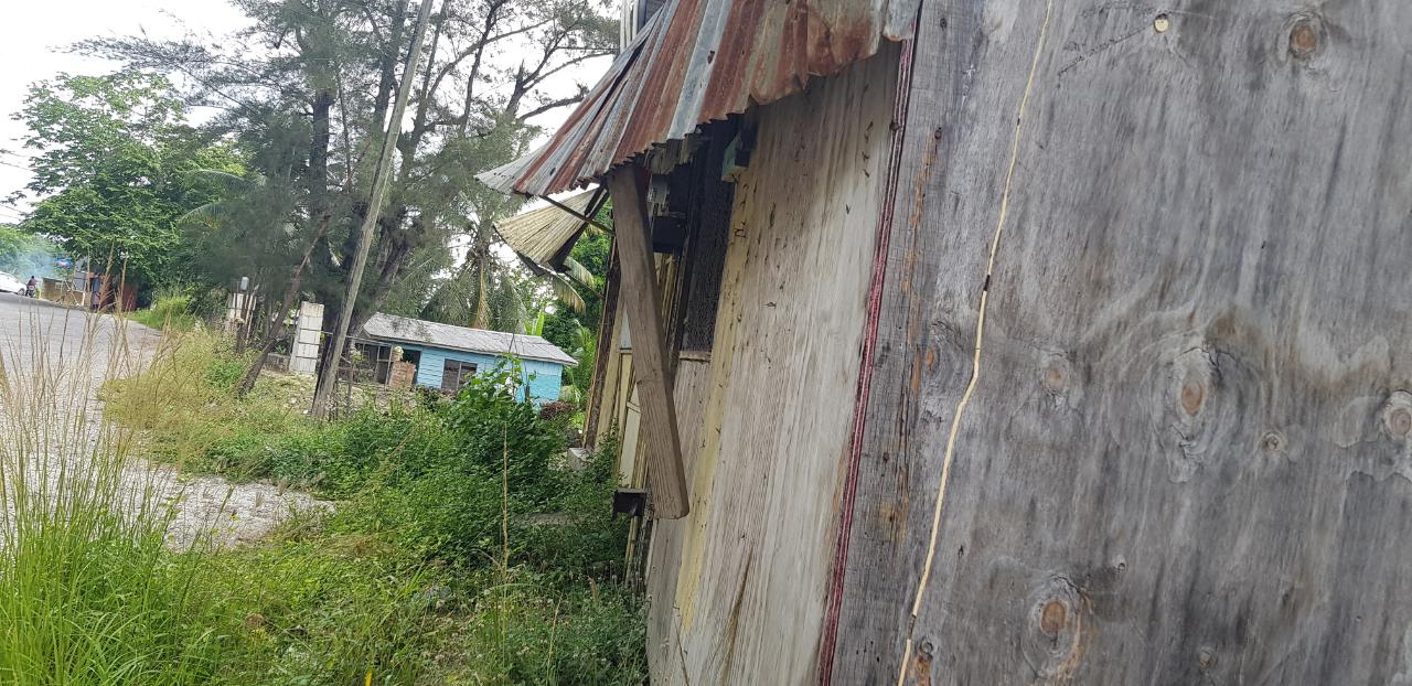 Fifteenth image of Springfield Sheffield in Shefeild, Westmoreland, Jamaica - property is For Sale